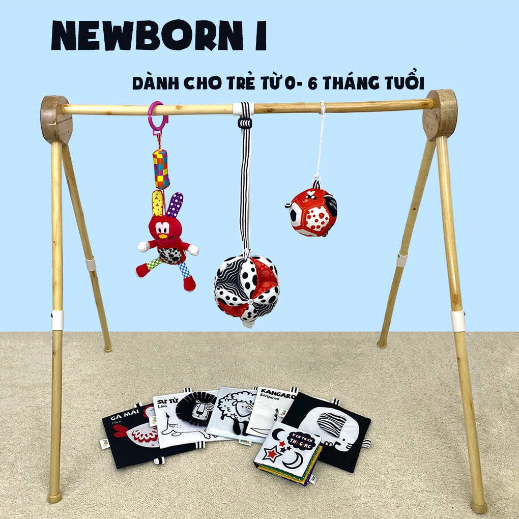 Combo Newborn 1 (Cho bé từ 0 tháng tuổi)